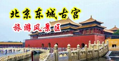 免费看肏屄网站视频中国北京-东城古宫旅游风景区